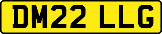DM22LLG