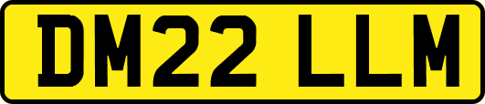 DM22LLM