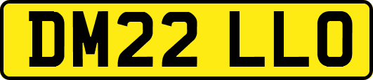 DM22LLO