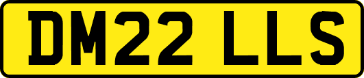 DM22LLS