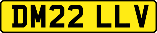 DM22LLV