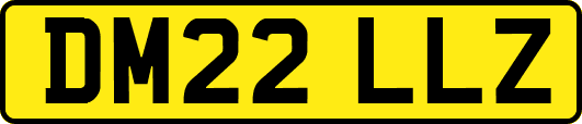 DM22LLZ