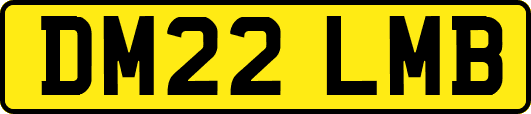 DM22LMB