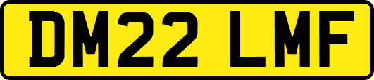 DM22LMF