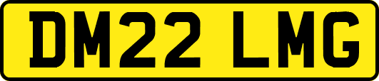 DM22LMG