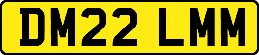 DM22LMM