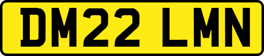 DM22LMN