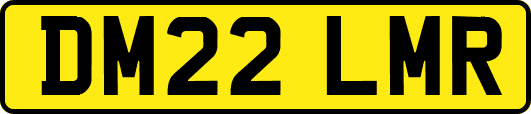 DM22LMR