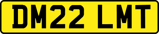 DM22LMT