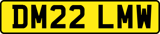 DM22LMW