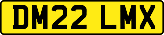 DM22LMX