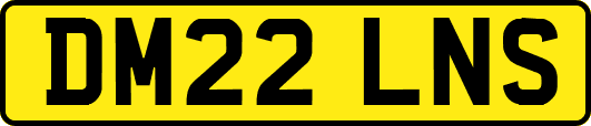 DM22LNS