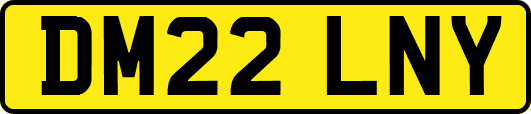 DM22LNY
