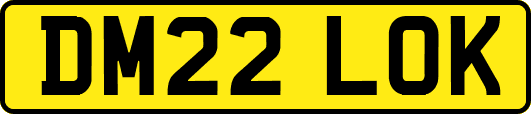 DM22LOK