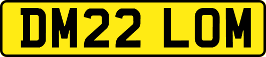 DM22LOM