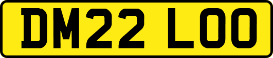 DM22LOO