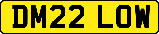 DM22LOW