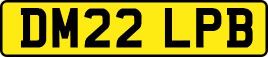 DM22LPB