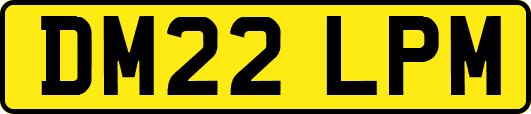 DM22LPM