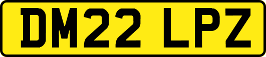 DM22LPZ