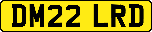 DM22LRD