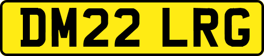 DM22LRG