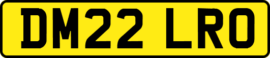 DM22LRO