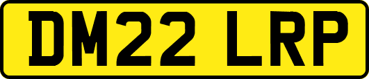 DM22LRP