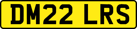 DM22LRS