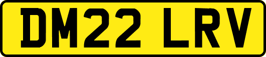 DM22LRV