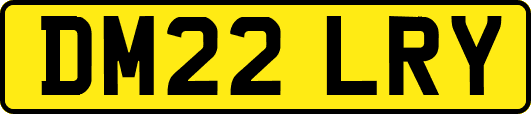 DM22LRY