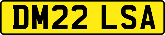 DM22LSA