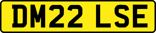DM22LSE