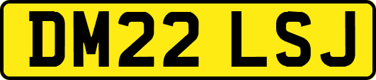 DM22LSJ