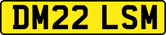 DM22LSM
