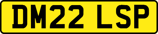 DM22LSP