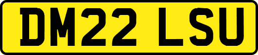 DM22LSU