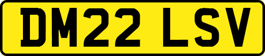 DM22LSV
