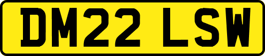 DM22LSW