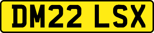 DM22LSX