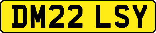 DM22LSY