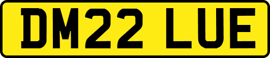 DM22LUE