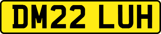DM22LUH
