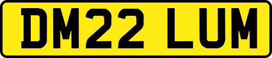 DM22LUM