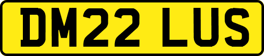 DM22LUS
