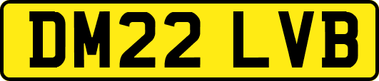 DM22LVB