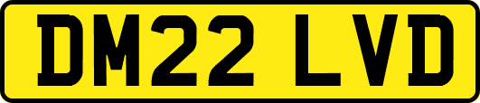 DM22LVD