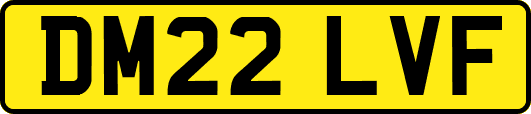 DM22LVF