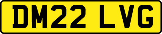 DM22LVG