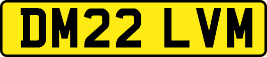 DM22LVM